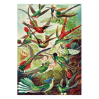 Imagination: Ernst Haeckel Hummingbirds/Kolibry puzzel