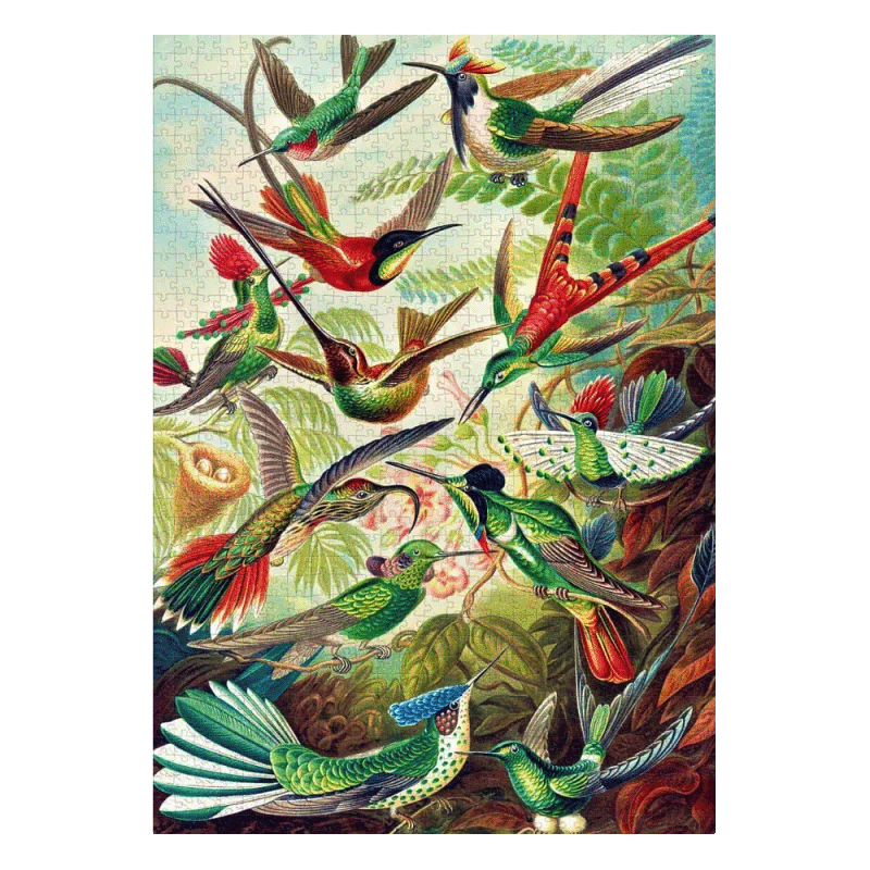 Imagination: Ernst Haeckel Hummingbirds/Kolibry puzzel