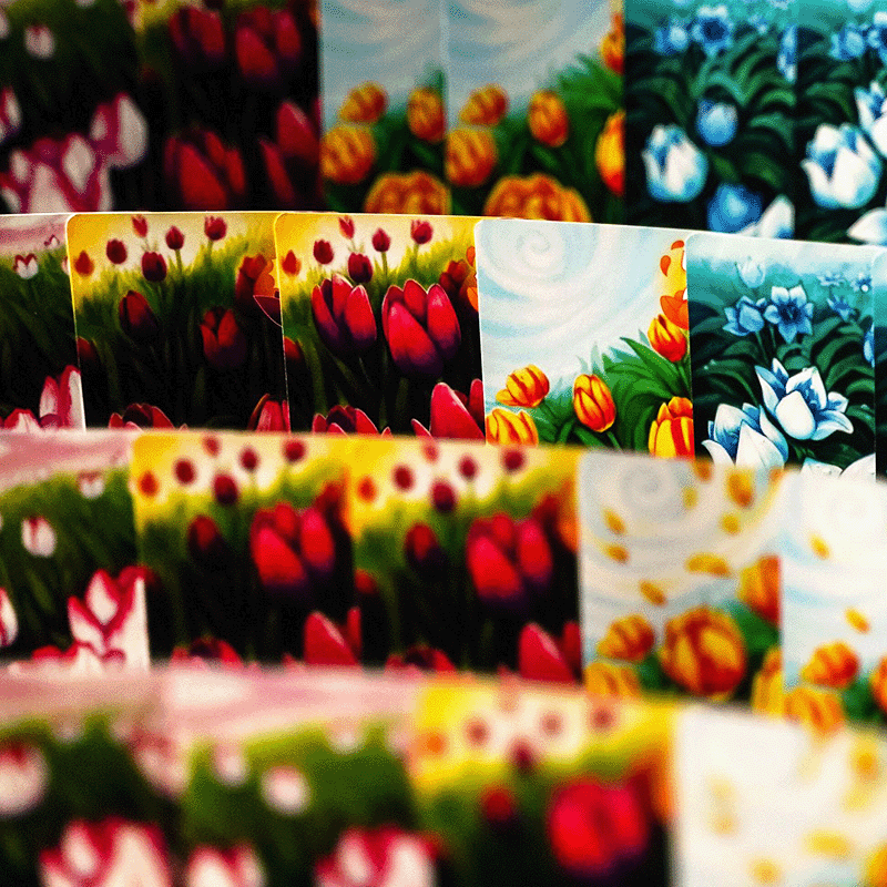 Gift of Tulips (ENG)