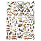 Insecten puzzel