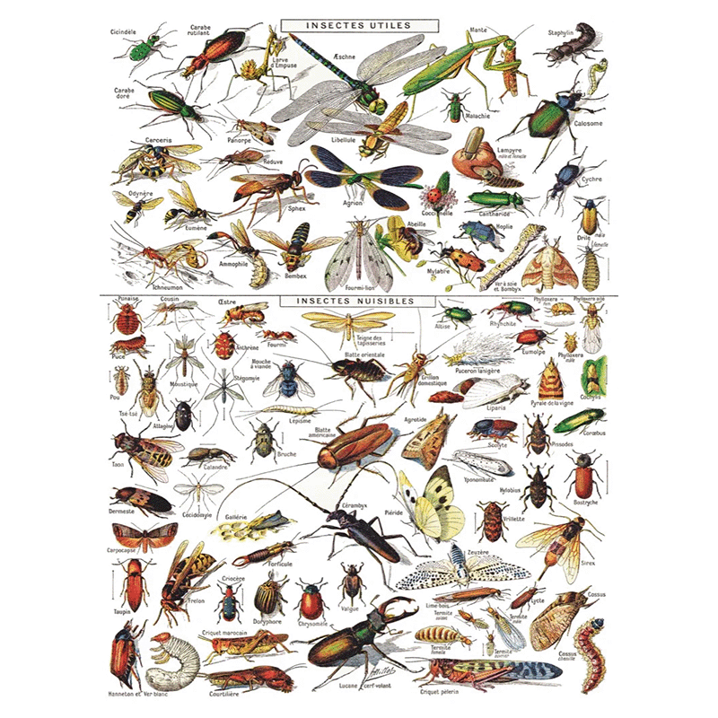 Insecten puzzel