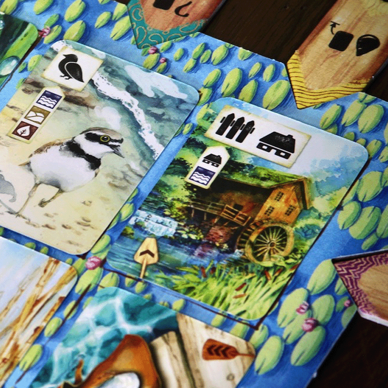 Meadow: Downstream (uitbreiding, ENG)