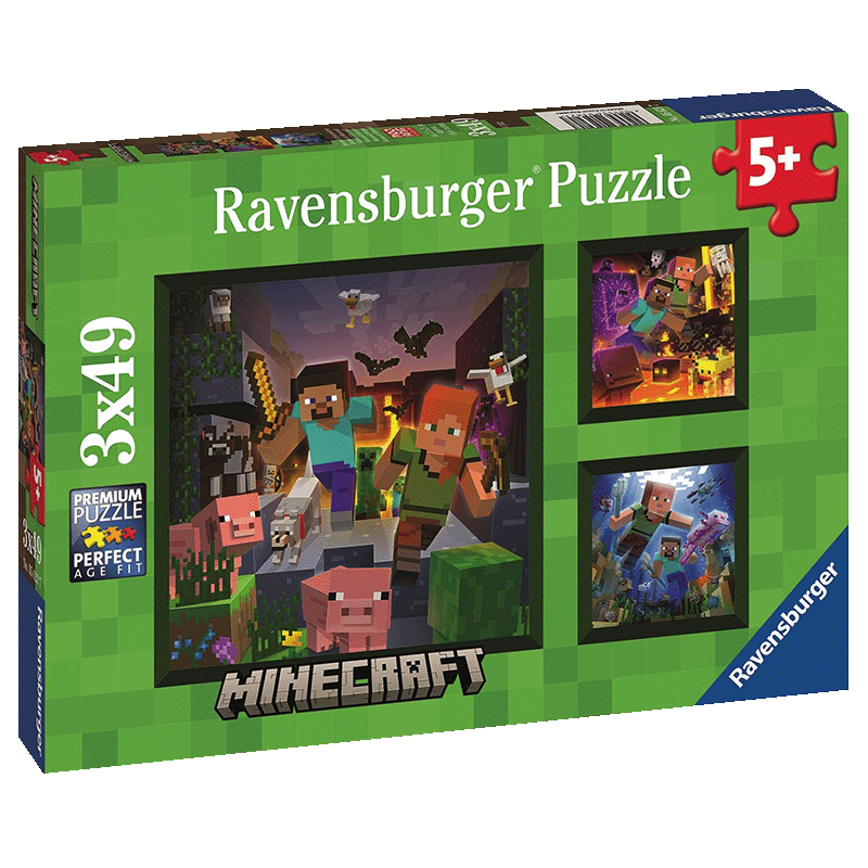 Minecraft Biomes puzzel