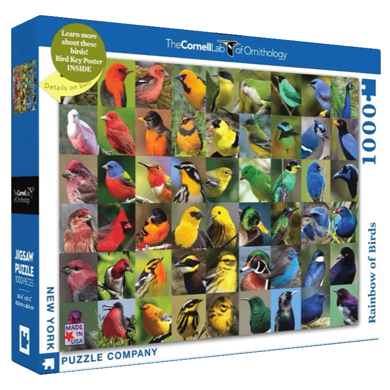 Regenboog vogels puzzel