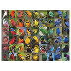 Regenboog vogels puzzel
